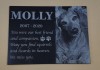 An Engraved Pet Memorial Plaque Case Study-Photo Engraving at MemorialsLAB